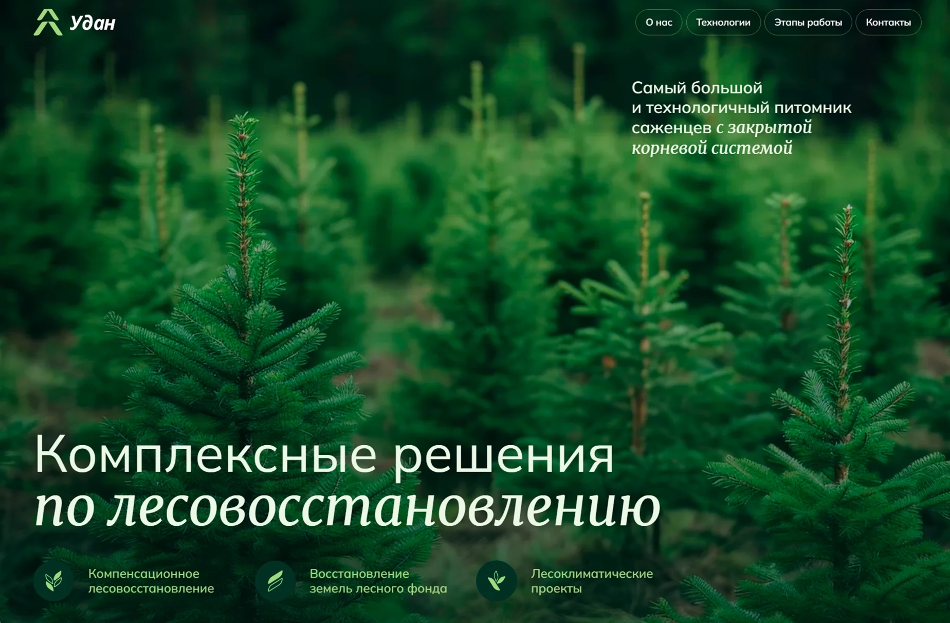 Лесовосстановление