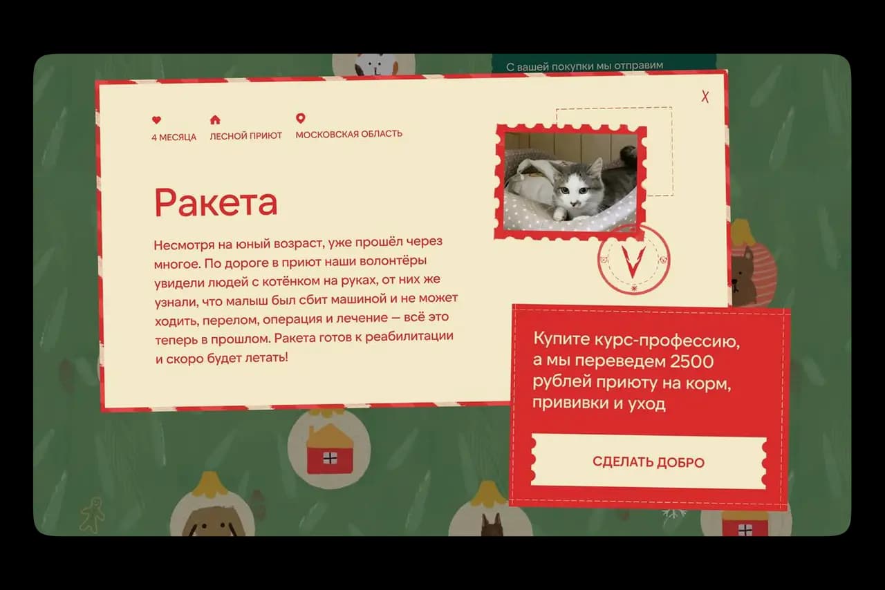 vetworkshop-content-rocket.webp