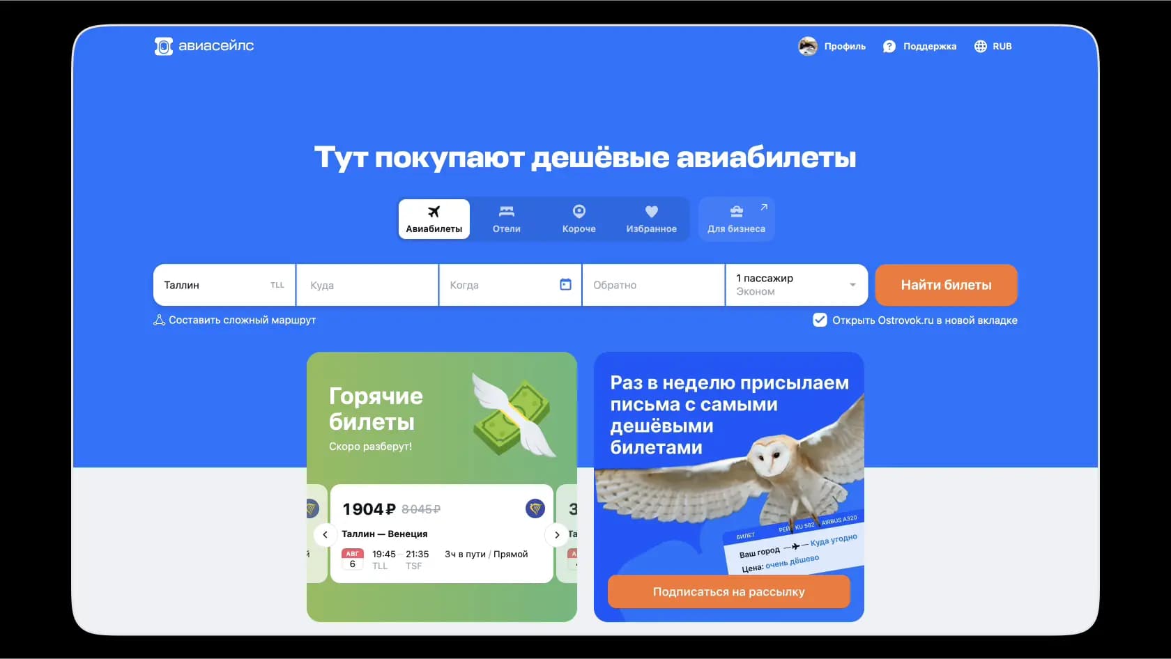 aviaseyls-main.webp