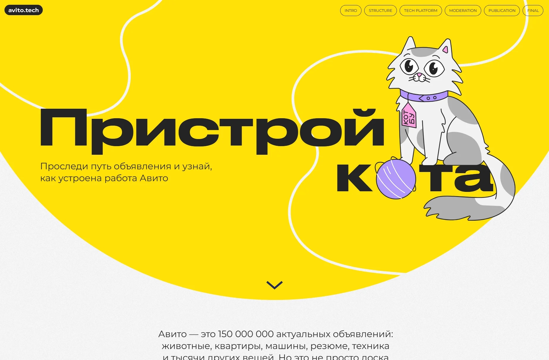 Проект для avito.tech "Пристрой кота"