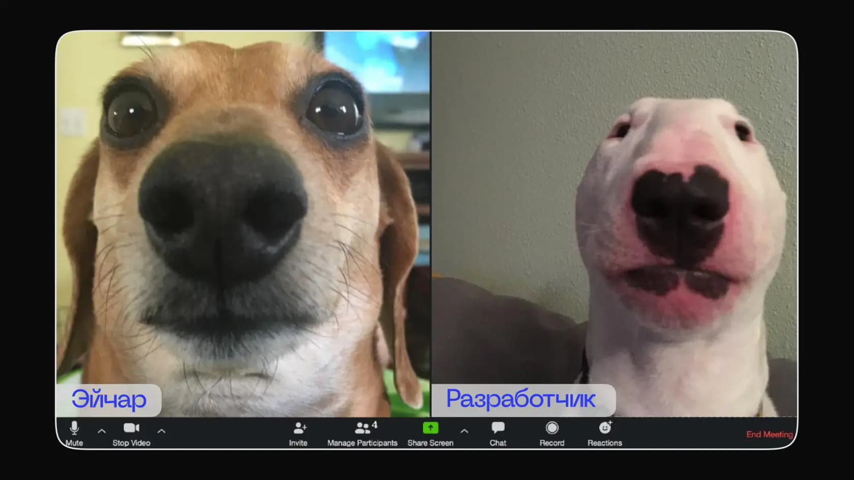 grades-face-2-face.webp