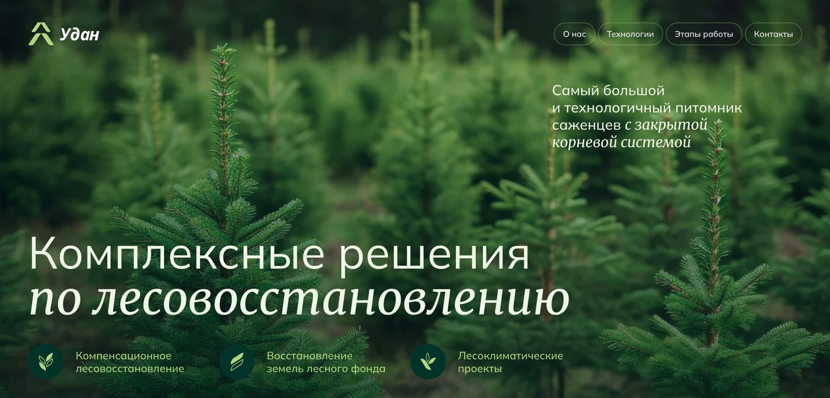 Лесовосстановление