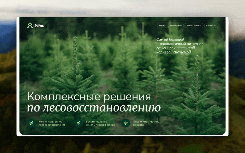 lesovosstanovlenie-animations-scroll.gif