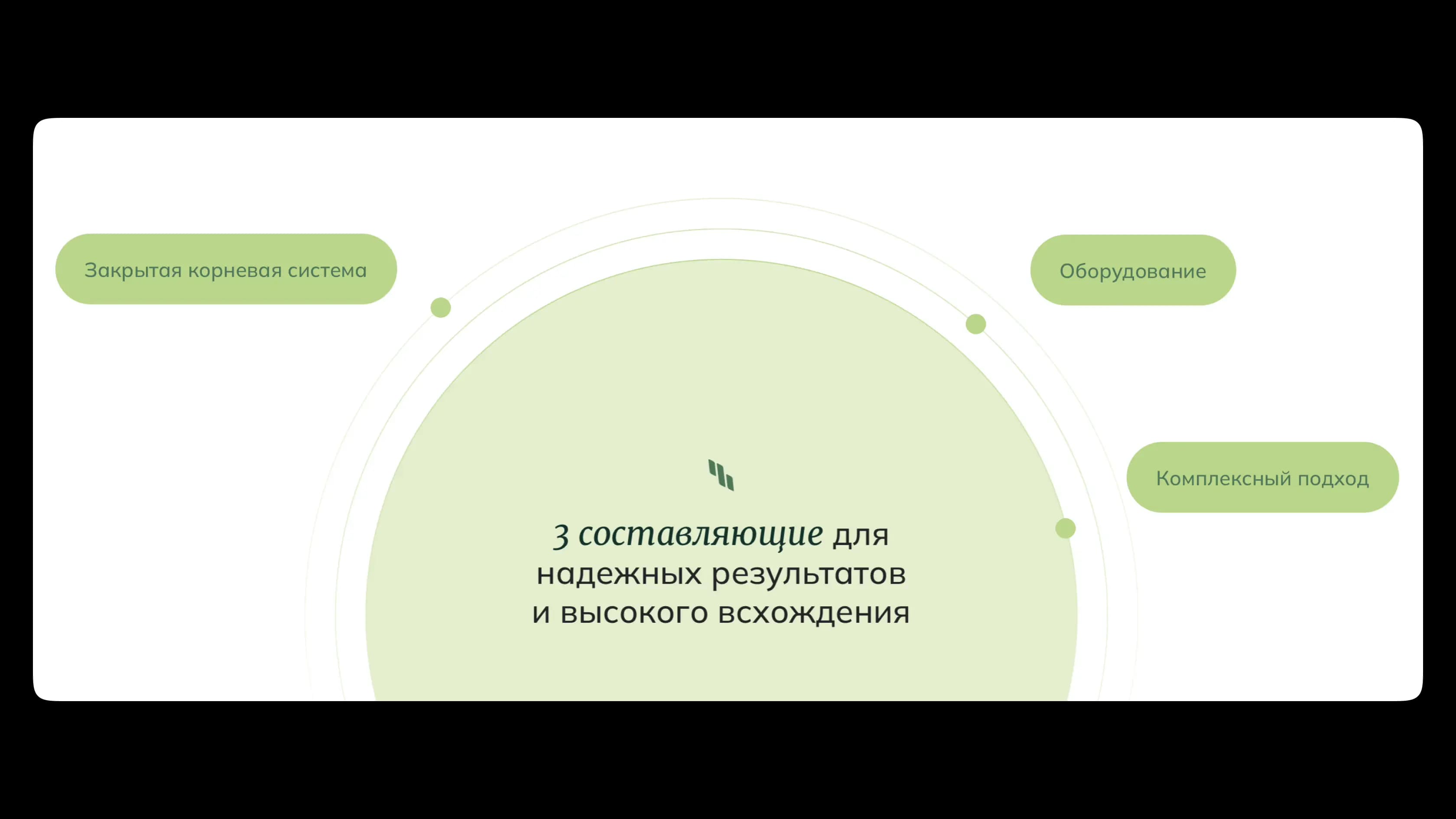 lesovosstanovlenie-circle.webp