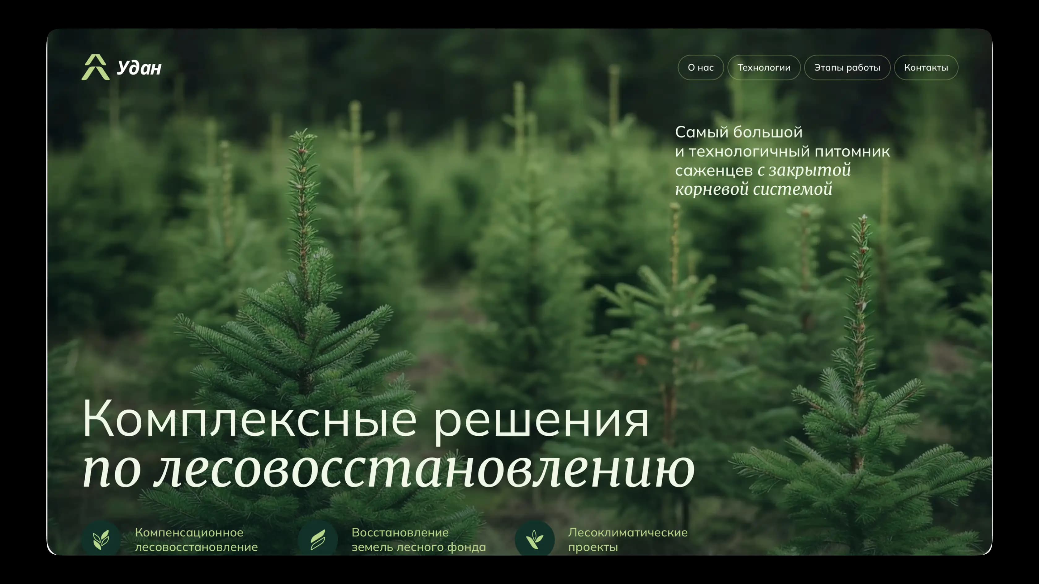 lesovosstanovlenie-parallax.webp