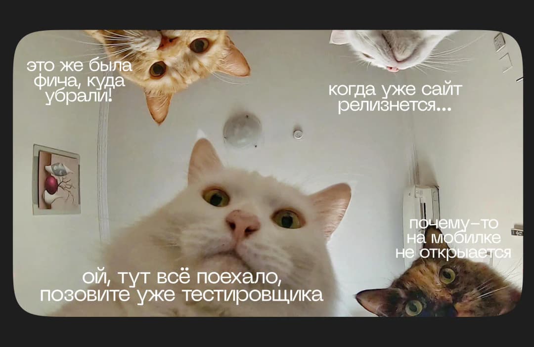 Рассказываем про тестирование: почему это важный этап в разработке любого проекта и что на нём делают тестировщики