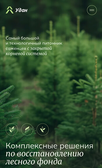 Мобильная обложка сайта